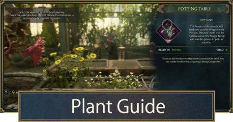 flussgras pflanzen hogwarts legacy|How to Get and Grow All Plants 